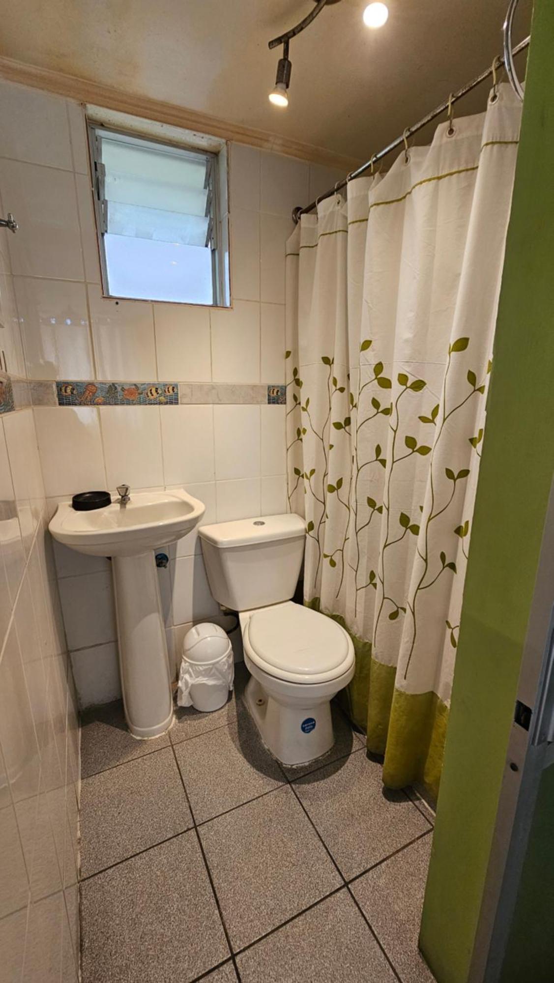 Alto Chinchorro Hostel 阿里卡 外观 照片
